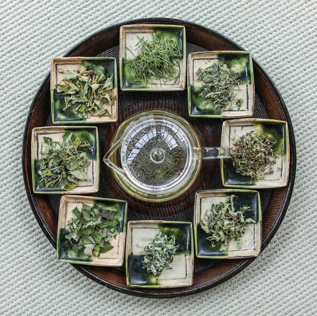 薬草コレクション